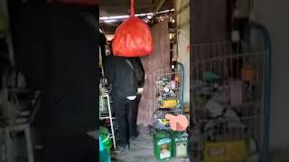 Download lagu Video lucu plecit mania nagih hutang #video #lucu #plecit #bank #Short mp3