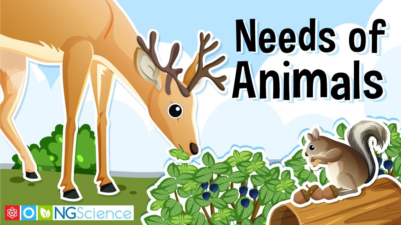 What are the 5 survival needs of a living organism?