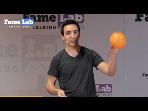 The immune system and autoimmune diseases - Luis Almeida - Famelab 2017 Braunschweig