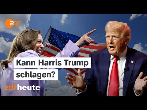 Harris gegen Trump: Wie gut sind ihre Chancen? Global Talk vom Parteitag der US-Demokraten
