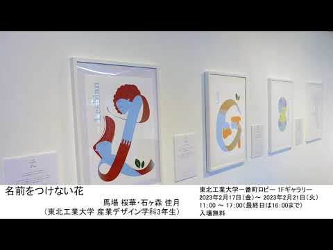 名前をつけない花
