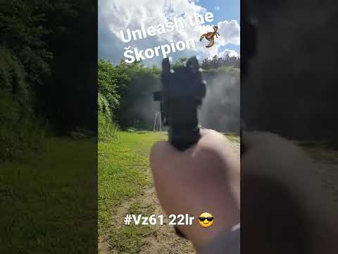 Testing the Czech Small Arms Vz61 Škorpion