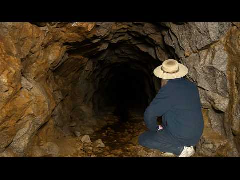 New GOLD deposit found at the Blue Chip Mine.