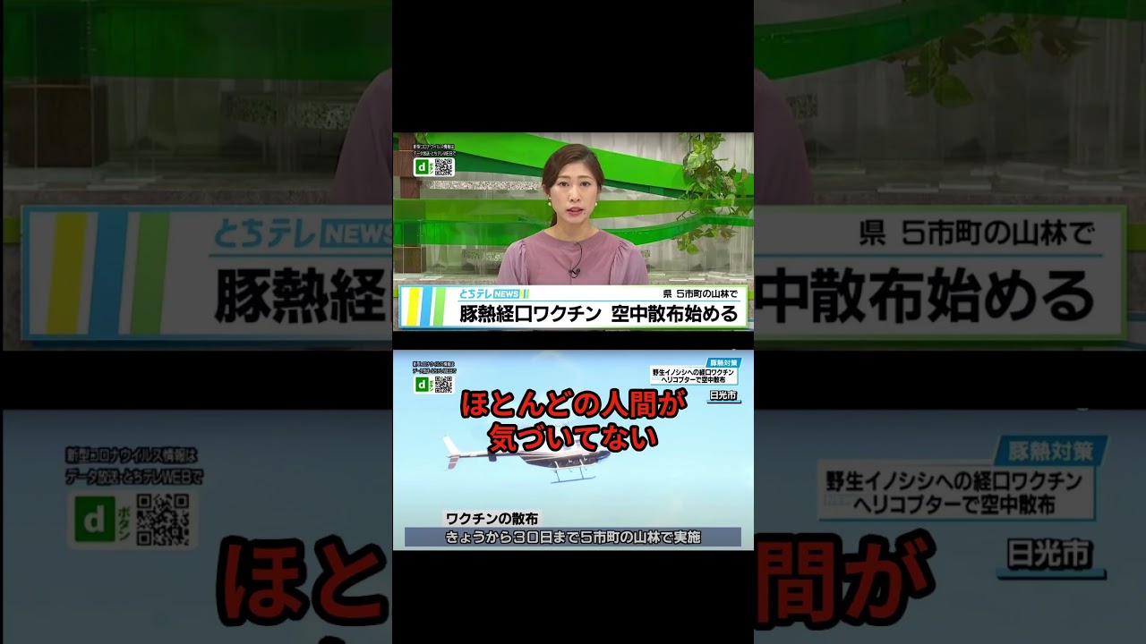 もしも芸能ニュースの裏で日本人に不利な法案が通ってたら