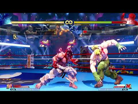 STREET FIGHTER V kage 20 hit combo vskill2