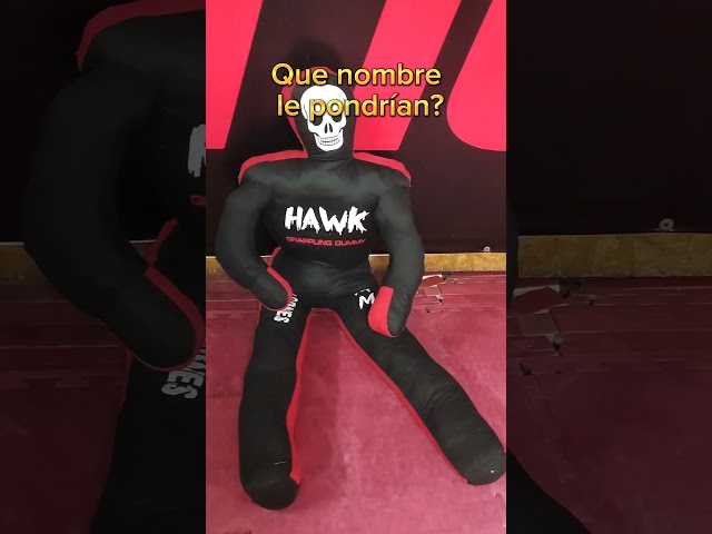 Vídeo relacionado con Muñeco de agarre para artes marciales mixtas, saco de boxeo de judo, MMA BJJ, Jiu Jitsu, posición sentada, manos delanteras (sin relleno, lienzo) (40 pulgadas, lienzo rojo)