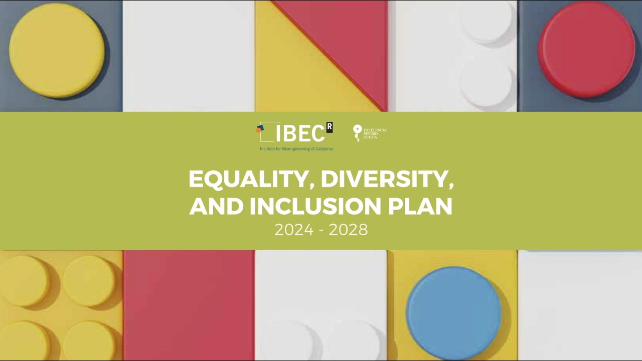 Equality, Diversity and Inclusion Plan | IBEC