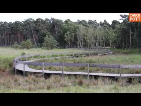 Der Diersfordter Wald in Wesel | checkpott.clip