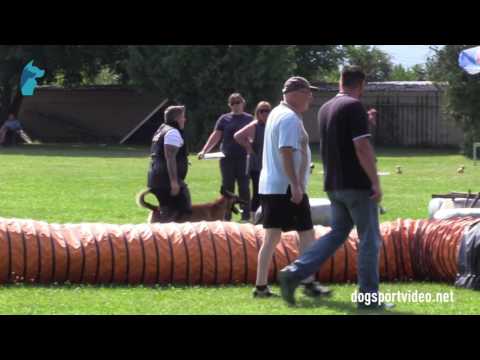 1. DMV Championat - Martina Praunias - Lasco vom Satansberg