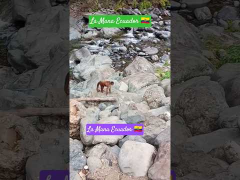 La Mana Ecuador 🇪🇨
