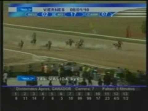 Resumen 8 de Enero de 2010 - Hipódromo de Valencia