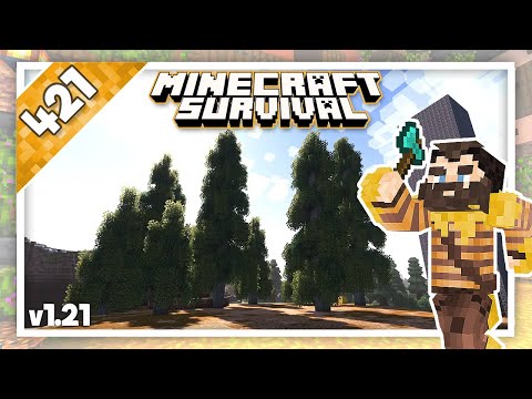 Minecraft Survival | Relaxing Builds - Spruce Forest (No Commentary, Lofi) | Ep.421