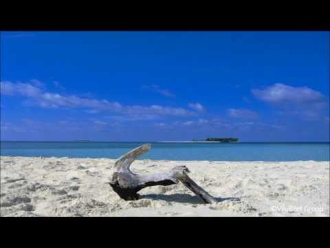 Sea Waves and Wind Chimes 8 Hours