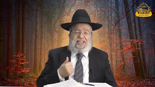 דף היומי בחצי שעה - יבמות דף ל"א