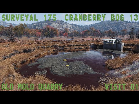 Fallout 76 Surveyal Project 175 - Cranberry Bog 13 - Old Mold Quarry