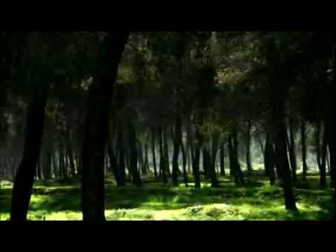 The Deerslayer Trailer