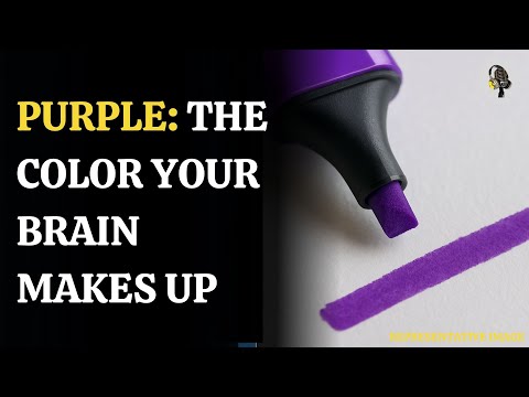 Why Purple Isn't Real—But Your Brain Sees It | WION Podcast