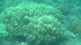 preview picture of video 'INDONEZJA - BALI - AMED 5 - DARMOWY SNORKELING  #29'