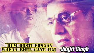Hum Dosti Ehsaan Wafaa Bhul Gaye Hain | Jagjit Singh