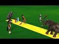 Elephant Cartoon Playing Cricket Lion Play Cricket Animal Cartoon Games Cartoon Animals