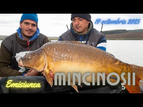Mincinoșii - 19 octombrie 2025