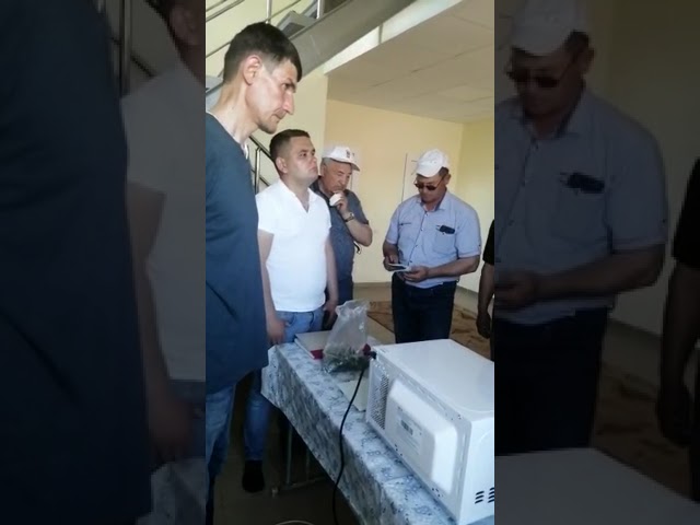 Специалист ООО "Лира Фарм" проводит анализ зелёной массы