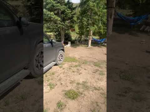 Camp Site