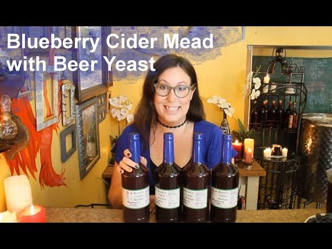 Blueberry Cider Mead with Beer Yeast