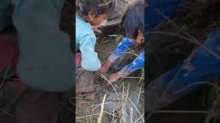 Download lagu #viralvideo #fishing #fish #catchingfish mp3