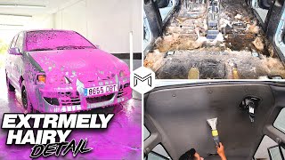 Deep Cleaning THE NASTIEST Car I've Ever Seen! | DISASTER Car Detailing Transformation!