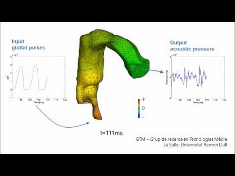 WP5 FEM simulation of diphthong ai using MRI based vocal tract geometries
