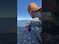The Seagull Stole My McDonald S Creativephotography