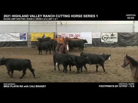 $35,000 Limit Non Pro - Show 2 - 2021 Highland Valley Ranch Cutting Horse Series 1