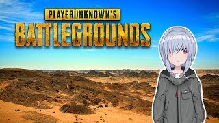 【PUBG】VTuber色別最強チーム決定戦 白１チーム視点