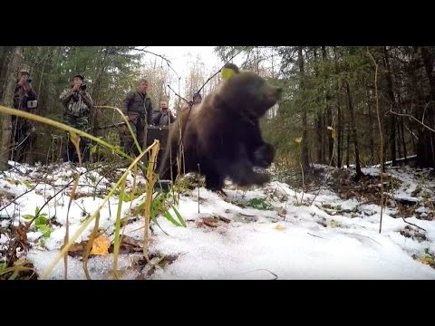 Yasha and Misha Return to the Wild!