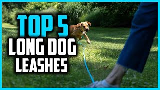 ✅Top 5 Best Long Dog Leashes for More Freedom in 2026