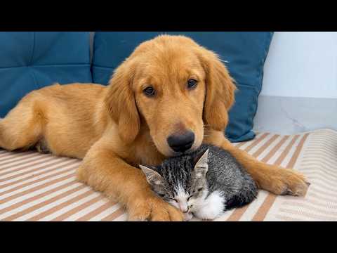 YouTube 썸네일