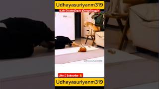 Download lagu dog mindvoice #doglover #trending #shortsfeed #dogtalk #funny #comedy mp3