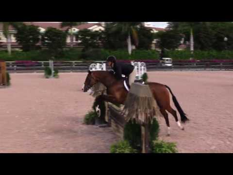 Cancara - 3' Green Hunter