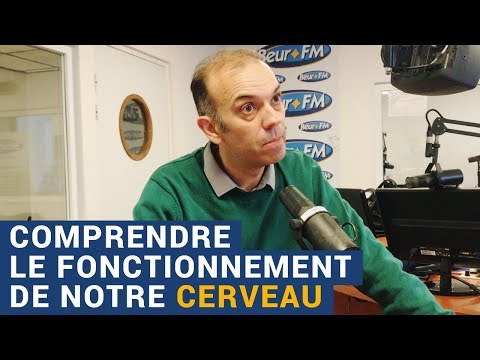 [AVS] "Tout comprendre du fonctionnement de notre cerveau" avec Jean-François Marmion