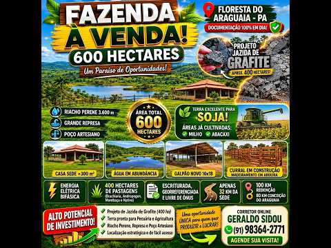 🚨 OPORTUNIDADE RARA NO SUL DO PARÁ 🚨 🌎 FAZENDA COM JAZIDA DE GRAFITE EM FLORESTA DO ARAGUAIA – PA