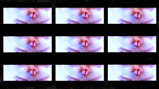 NB Ridaz Ft. Angelina - Runaway