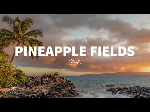 NSH - Pineapple Fields (Lyrics)
