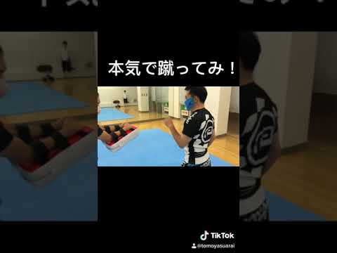 “本気で蹴ってみ！” 佐山聡先生の音声を聞きながらミット打ちをしたらキックが強くなった！