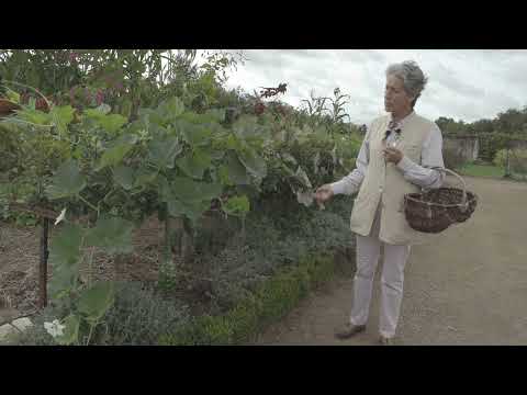 Centre Region: the Valmer vegetable garden