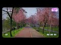 Nalam Vazha Marupadiyum Full English Lyrics Translation Spb Ilayaraja Tamilsongs Revathi