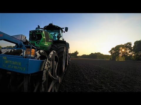 Rapsland vorbereiten für die Einzelkornsaat