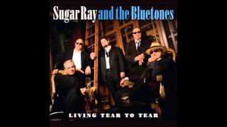 SUGAR RAY AND THE BLUETONES - I DREAMED LAST NIGHT