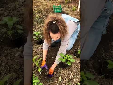 Gardening. #garden #lera #petrovchanka