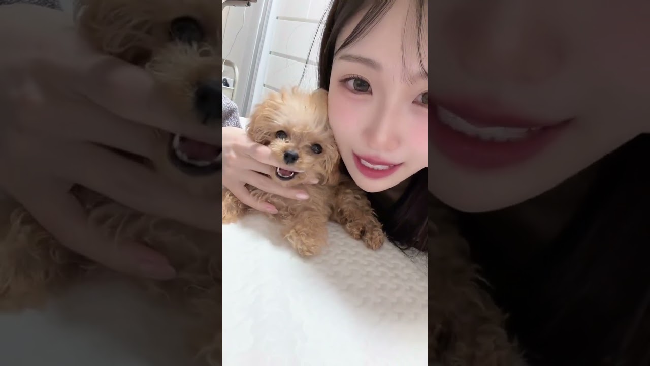 機嫌とってくんの草#shorts